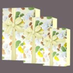 Gift N Greet Gift Box Sets Of-3 Luxury Gift Box Set with Ribbon for Packaging Multipurpose Gift Hampers | Boxes for Presents Diwali Christmas Wedding Birthdays Special Occasions (Cream)